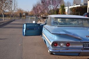 Impala