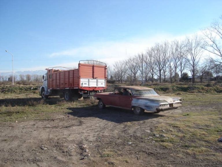 impala traerlo a mendoza