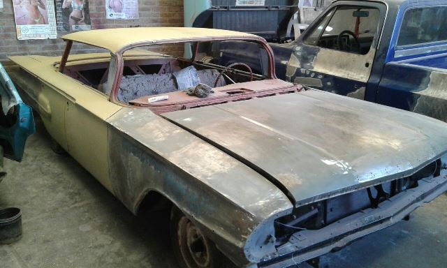 Impala Chaperia 2