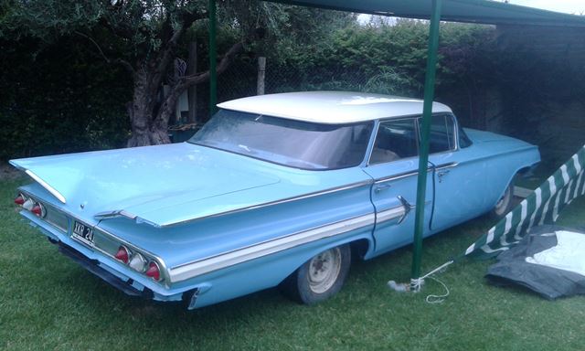 Impala pintura