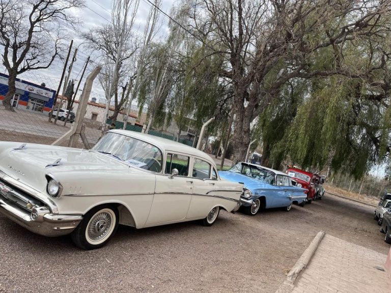 impala raid