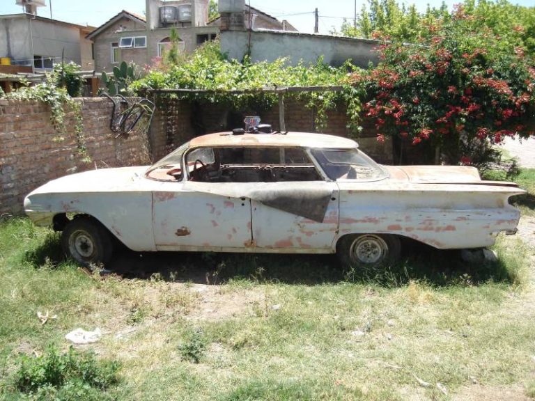 impala_visita