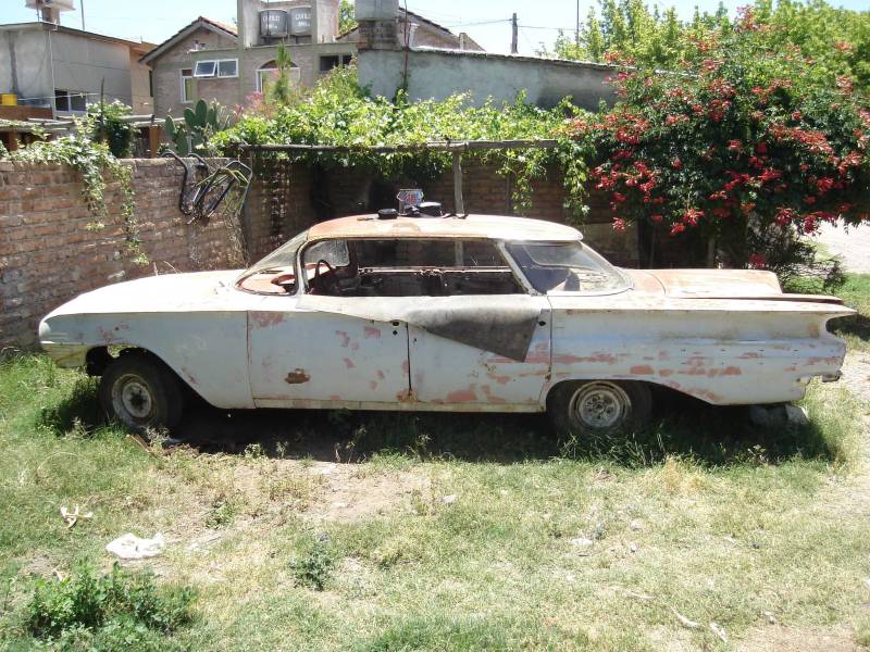 impala_visita