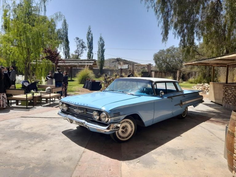 Impala_casamiento_david